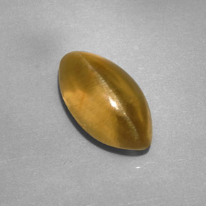 Apatita olho de gato dourado esverdeado natural 2,59ct, transparente, transparente/translúcido