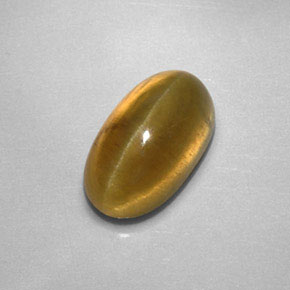 Apatita Olho de Gato Dourado Esverdeado Natural 2.87ct, Transparente, Transparente/Translúcido