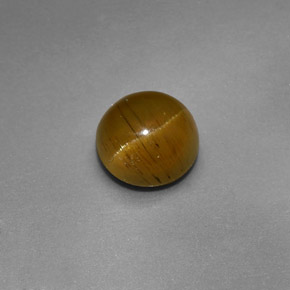Cat's eye apatite verde natural 1,47ct, corte redondo, translúcido