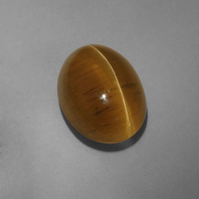 Cat's eye apatite amarelo natural 9,54ct, transparente, transparente/translúcido