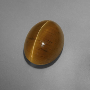 Cat's eye apatite amarelo natural 9,54ct, transparente, transparente/translúcido