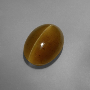 Cat's eye apatite amarelo natural 8,32ct, transparente, transparente/translúcido