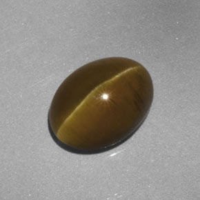 Cat's eye apatite amarelo natural 3,52ct, transparente, transparente/translúcido