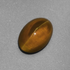 Cat's eye apatite amarelo natural 2,02ct, transparente, transparente/translúcido