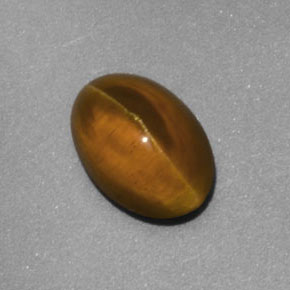 Cat's eye apatite amarelo natural 2,02ct, transparente, transparente/translúcido