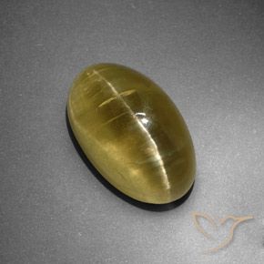 Apatita Olho de Gato Amarelo Terroso Natural 12.95ct, oval, Translúcido