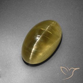Apatita Olho de Gato Amarelo Terroso Natural 12.95ct, oval, Translúcido