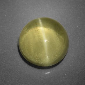 Apatita Olho de Gato Verde Dourado Natural 2.63ct, Corte Redondo, Translúcido
