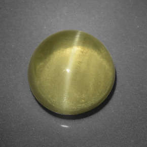 Apatita Olho de Gato Verde Dourado Natural 2.63ct, Corte Redondo, Translúcido