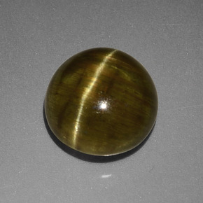 Apatita Olho de Gato Verde Dourado Natural 4.23ct, Corte Redondo, Translúcido