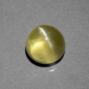 Apatita olho de gato dourado esverdeado natural 6,34ct, corte redondo, translúcido