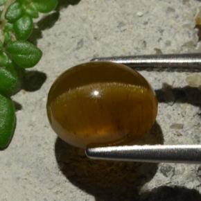 Apatita Olho de Gato Laranja Natural 3.16ct, Corte Oval, Translúcido