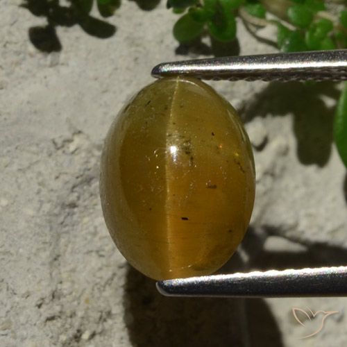 3.64ct Natural Marrom claro Apatita Olho de Gato, oval, Translúcido