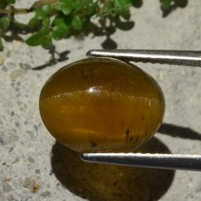 Apatita Olho de Gato Castanho médio Natural 5.80ct, Corte Oval, Translúcido