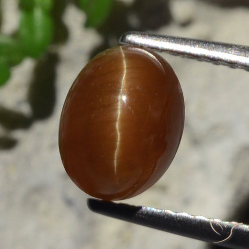Cat's eye apatite marrom natural 2,05ct, corte oval, translúcido