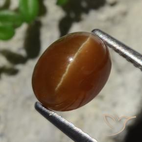 Cat's eye apatite marrom natural 2,05ct, corte oval, translúcido