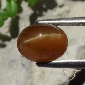 Cat's eye apatite marrom natural 2,05ct, corte oval, translúcido