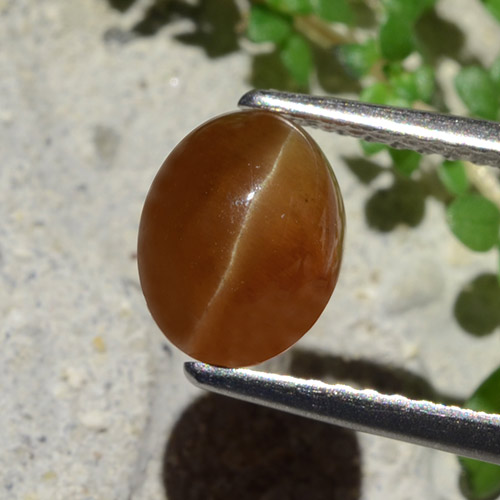Cat's eye apatite marrom natural 1,91ct, corte oval, translúcido
