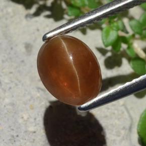 Cat's eye apatite marrom natural 1,91ct, corte oval, translúcido