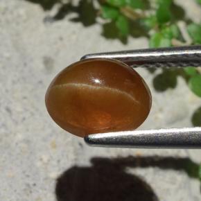 Cat's eye apatite marrom natural 1,91ct, corte oval, translúcido