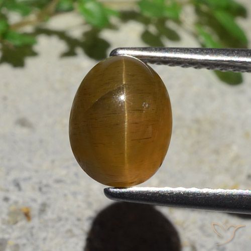 2.89ct Natural Marrom Caramelo Apatita Olho de Gato, oval, Translúcido