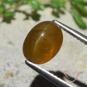 Apatita Olho de Gato Marrom Caramelo Natural 2.89ct, oval, Translúcido