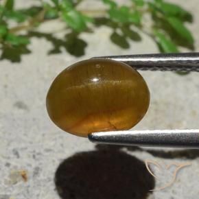 Apatita Olho de Gato Marrom Caramelo Natural 2.89ct, oval, Translúcido