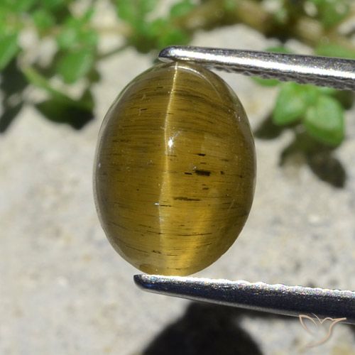 Apatita Olho de Gato Amarelo Terroso Natural 3.38ct, Corte Oval, Translúcido