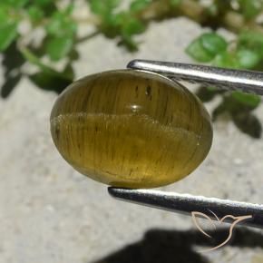 Apatita Olho de Gato Amarelo Terroso Natural 3.38ct, Corte Oval, Translúcido