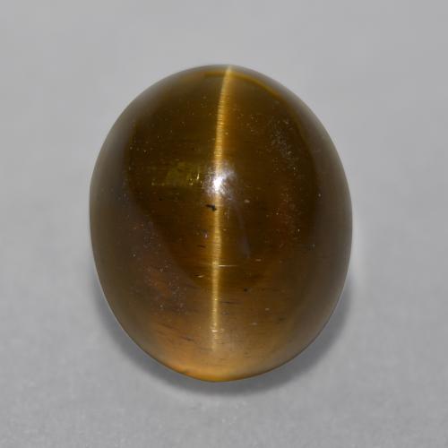 Cat's eye apatite marrom natural 7,22ct, corte oval, translúcido