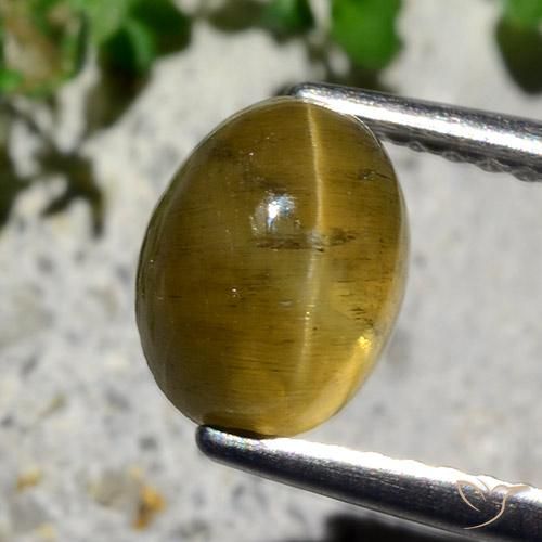 2.12ct Natural Amarelo Terroso Apatita Olho de Gato, oval, Translúcido