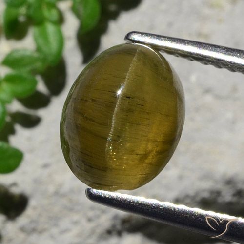 3.23ct Natural Café Marrom Apatita Olho de Gato, oval, Translúcido