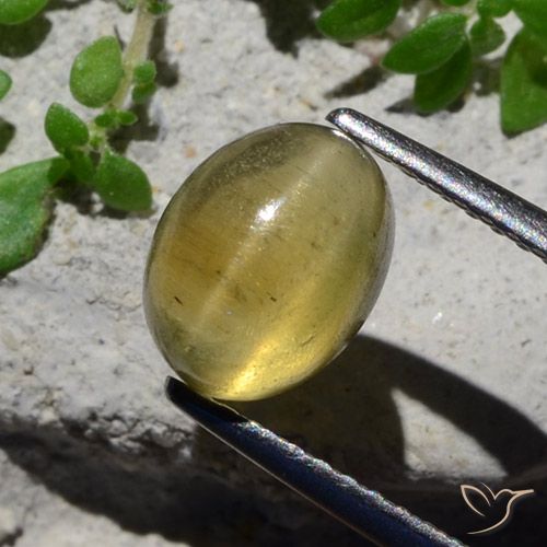 2.38ct Natural Luz amarela Apatita Olho de Gato, oval, Translúcido