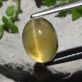 Apatita Olho de Gato Luz amarela Natural 2.38ct, oval, Translúcido