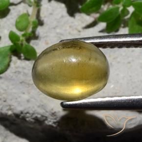 Apatita Olho de Gato Luz amarela Natural 2.38ct, oval, Translúcido