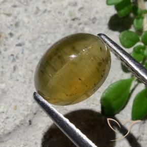 Apatita Olho de Gato amarelo médio Natural 2.16ct, oval, Translúcido