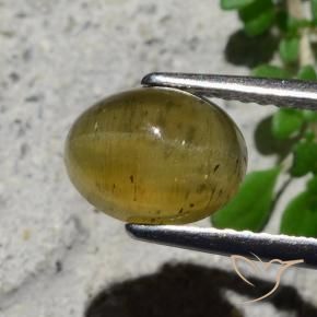Apatita Olho de Gato amarelo médio Natural 2.16ct, oval, Translúcido