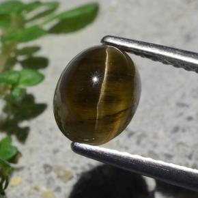 Cat's eye apatite marrom natural 2,01ct, corte oval, translúcido