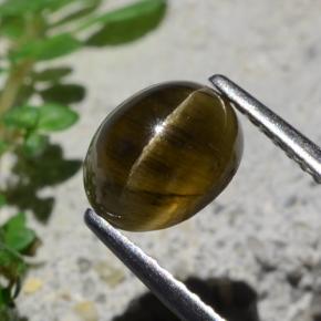 Cat's eye apatite marrom natural 2,01ct, corte oval, translúcido