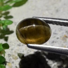 Cat's eye apatite marrom natural 2,01ct, corte oval, translúcido
