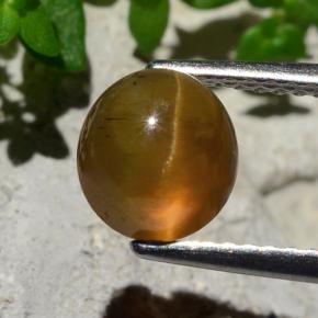 Apatita Olho de Gato Laranja Natural 2.17ct, Corte Redondo, Translúcido