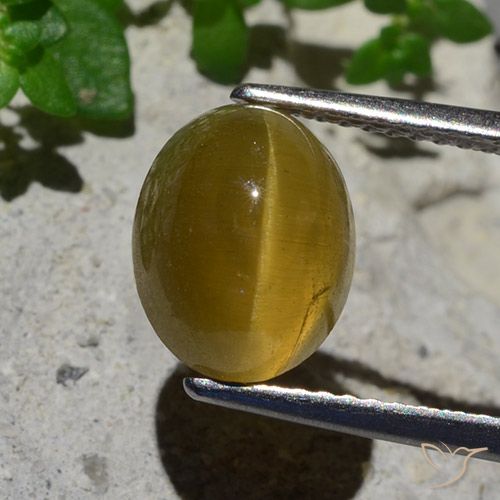 3.87ct Natural Amarelo Terroso Apatita Olho de Gato, oval, Translúcido