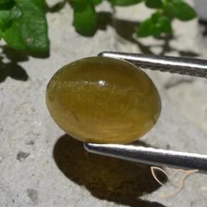 Apatita Olho de Gato Amarelo Terroso Natural 3.87ct, oval, Translúcido