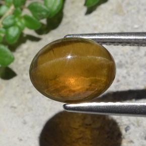 Cat's eye apatite verde natural 2,93ct, corte oval, translúcido