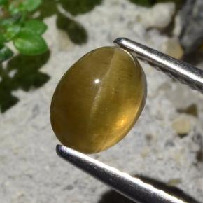 Apatita Olho de Gato Verde Dourado Natural 1.64ct, Corte Oval, Translúcido