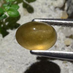 Apatita Olho de Gato Verde Dourado Natural 1.64ct, Corte Oval, Translúcido