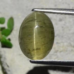 Apatita Olho de Gato verde escuro Natural 3.73ct, Corte Oval, Translúcido