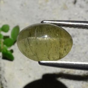 Apatita Olho de Gato verde escuro Natural 3.73ct, Corte Oval, Translúcido