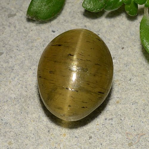 4.09ct Natural Amarelo marrom Apatita Olho de Gato, oval, Translúcido