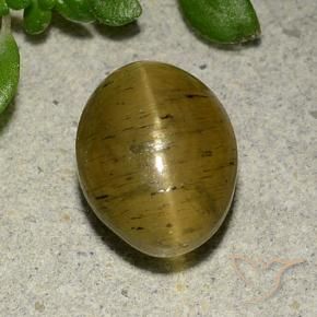 Apatita Olho de Gato Amarelo marrom Natural 4.09ct, oval, Translúcido